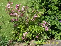 JD500475.webp