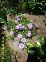 JD500468.webp