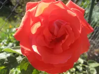 IMG_4902.webp