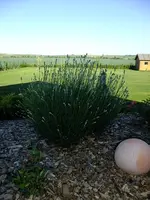 DSCF9011.webp