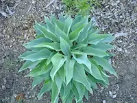 DSCF9023.webp