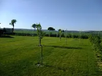 DSCF9040.webp