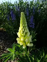 DSCF9043.webp