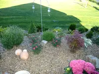 DSCF9054.webp