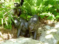 Jungfer im Gruenen (7)v.webp