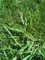 Foto 1.webp