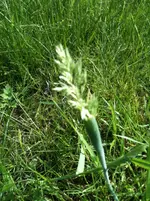 Foto 2.webp
