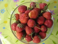 ErdBeeren.webp