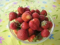 Erdbeerenernte.webp