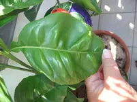 DSCF3069.webp
