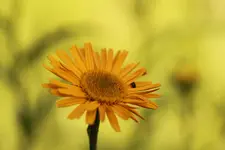 6,3.webp 6,3.webp