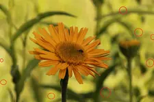 22 - Kopie.webp 22 - Kopie.webp