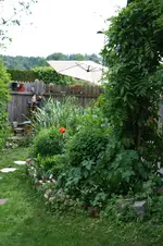 staudenbeet am Haus 2kl.webp