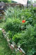 staudenbeet am Haus kl.webp