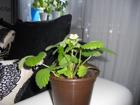 130641039823DSCN0906.webp