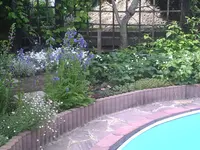Erdbeeren am Pool.webp