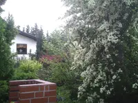 von links.webp