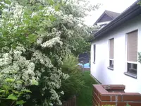 von rechts.webp