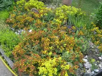 IMG_4939.webp