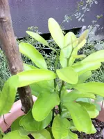 ende mai  2011 025.webp