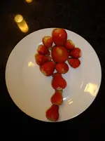 DSCF9062.webp