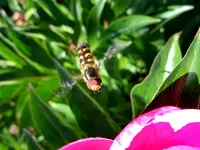 076.webp