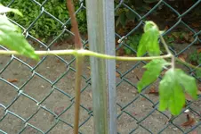 P1020132.webp
