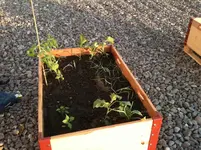 PERLENGARTEN26mai.webp
