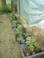 DSC00805.webp