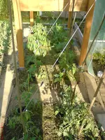DSC00839.webp