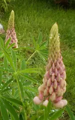 P2280551.webp