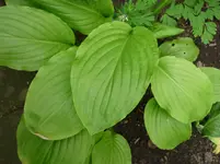 P1020155.webp