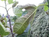 xPICT0104.webp