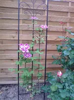 Foto0217.webp