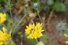 IMG_8128_2.webp