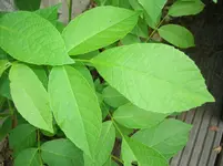 DSCN0055.webp