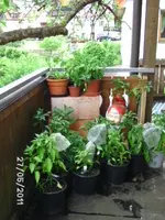 BILD0038.webp