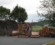 IMG_5949.webp