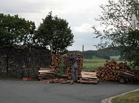 IMG_5950.webp