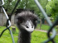 DSCN9692.webp