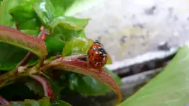 K800_27.5.2011 030.webp