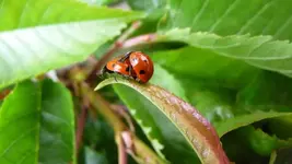 K800_27.5.2011 029.webp