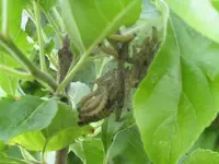 k-IMG_8194.webp