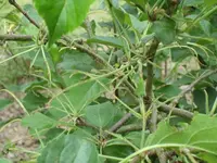 k-IMG_8199.webp