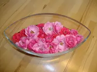 DSCF9070.webp