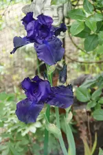 DSC05246.webp