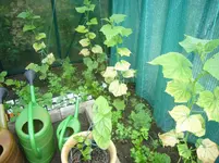 P1110233.webp