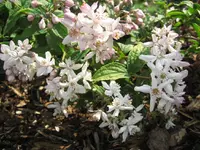IMG_8933.webp