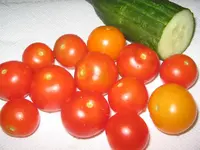 IMG_0417.webp