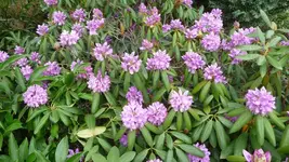 K800_28.5.2011 033.webp